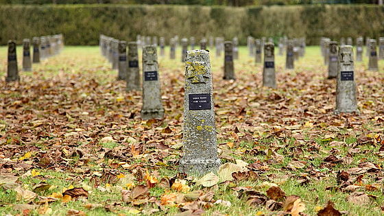 Lagerfriedhof des ehemaligen Kriegsgefangenenlagers Marchtrenk, Oberösterreich, Österreich